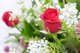 3501 mchenry ave, modesto (ca), 95356, united states. Lupita S Floral Shop Home Facebook
