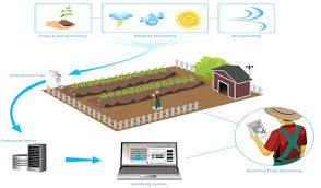 Life science includes articles related to the workings of different forms of life. Pdf Recent Ict Advances Applied To Smart E Government Systems In Life Sciences Semantic Scholar