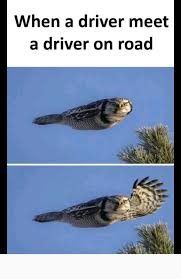 Pin By Good Samaritan On Laughing Exercise Instagram Funny Funny Memes Funny Comments
