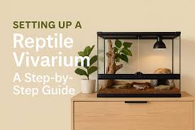 Setting Up a Reptile Vivarium: A Step-by-Step Guide | Charterhouse Aquatics