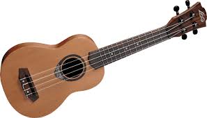 Hasil gambar untuk ukulele