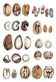 Dry Fruits Illustration By May Van Millingen Illustration Fruit Illustration Artist