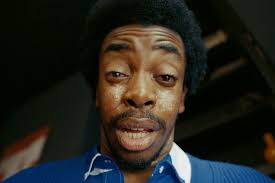 Prison cats, a military kitty and a mountain-climbing feline star in  Sheba's documentary series