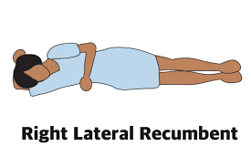 Check spelling or type a new query. Anatomical Position Definitions And Illustrations