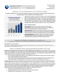 Professional structure and correct design. Vice President Business Corporate Development Resume August 2021