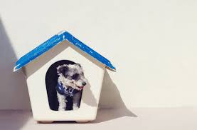 What does pet boarding include? Home Peninsula Critter Care