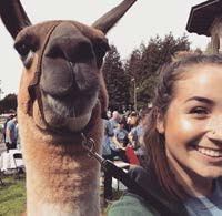 Our Agency's Core Values