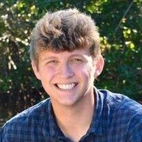 Nathan Davison's Instagram, Twitter & Facebook