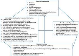 When Is The Embryo At Risk Of Nutritional Deficiencies Nutrition Pics