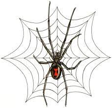 All artwork comes signed by the artist and includes a white border. Spiderweb Tattoos Outstanding Inspirational Spider Web Tattoo Designs Pictures Web Tattoo Spider Web Tattoo Tattoo Website