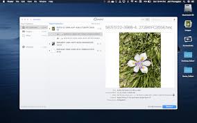 Mac users can avail themselves of the image capture application to delete photos from their iphone. How To Delete Duplicate Photos From Icloud