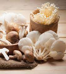 Is It Safe To Eat Mushroom During Pregnancy