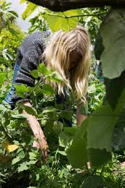 Lucy Vincent Bethells Beach In Bed Store Haus Und Garten Garten