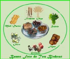 Le Seder De Tou Bichvat