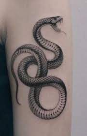 25 Black And Grey Snake Tattoo Designs Black Snake Tattoo Snake Tattoo Design Snake