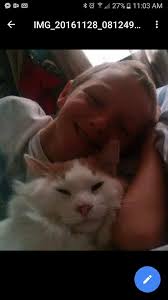 Lost Dog in Stillwater, Oklahoma