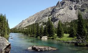 Maybe you would like to learn more about one of these? Rock Creek Montana Fly Fishing Camping Boating Alltrips