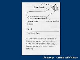 Cell culture refers to the removal of cells from an animal or plant and their subsequent growth in a favorable artificial environment. Http Cheng Dlearn Kmu Edu Tw Introduction The