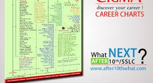 cigma career chart after 10th what next in india