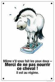 Lorsque le genre humain de gland se contentait, ane, cheval, et mule, aux forêts habitait ; Panneau Cheval Au Regime Ne Pas Nourrir Le Cheval Eur 12 99 Picclick De