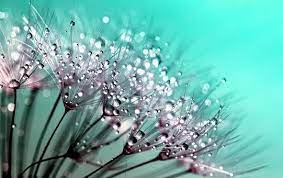 Better yet, download a few options, in case you want to switch them out. 100 000 Best Free Background Images Pictures Hd