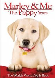Photos of the marley & me: Marley Me The Puppy Years Video 2011 Imdb