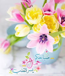 Pin By Nourelhouda On بطـاقـات صبـاحيـة واسـلاميـة Beautiful Morning Messages Good Morning Greetings Hanging Flowers
