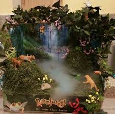 Biome In A Box Tropical Rainforest Tropical Rainforest Diorama Rainforest Project Habitats Projects Rainforest Crafts
