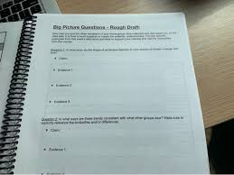 It's a good idea to write an outline before starting your rough draft, to help organize your ideas and arguments. Big Picture Questions Rough Draft Now That You Chegg Com