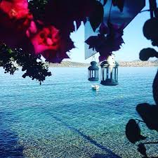 Photo0 Jpg Mavi Akvaryum Otel Sogut Resmi Tripadvisor