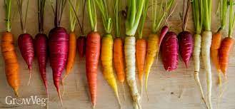 Dig a hole with your finger or a trowel to the depth specified on the seed packet. Growing Carrots From Sowing To Harvest