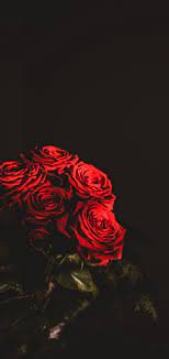 Check spelling or type a new query. Amoled Black Flowers Wallpapers Wallpaper Cave