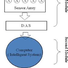 The noise that they make was described as chirping. Pdf Sensor Array For Manhole Gas Analysis