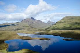 See actions taken by the people who manage and post content. Urlaub Mit Hund In Schottland Tierfreund