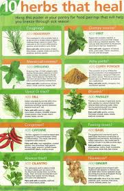 65 you will love fresh herb chart