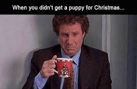 Make your own images with our meme generator or animated gif maker. All I Want For Christmas Memes