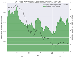 Wti Crude Oil Speculators Increased Net Bullish Positions