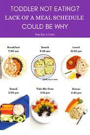 How A Meal Schedule Could Be The Key To Helping Your Picky Toddler Eat More Foods Meal Schedule Picky Eating Meals