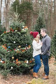 Gorgeous Styled Holiday Tree Farm Engagement With Goldendoodle Tree Farms Holiday Tree Goldendoodle