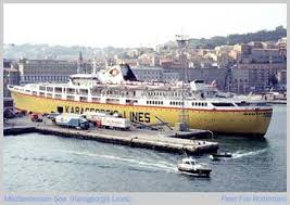 Image result for Rouge Furio 1987 Fleet