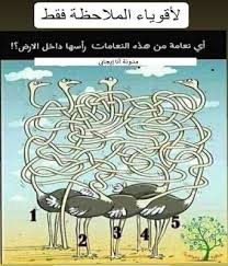 لغز أي نعامة من هذة النعامات رأسها داخل الأرض Https Ift Tt 2wx7jng Pandora Screenshot Art Pandora