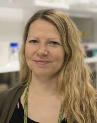 Karolinska Institutet