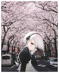 Anime girl, cute, spring, cherry blossoms, acg, japanese anime. Anime Hito Komoru Street Japan Cherry Blossom Hd Mobile Wallpaper Peakpx
