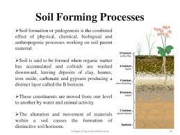 Check spelling or type a new query. Study On Conversion Of Sand To Soil Organically