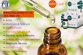 Belfeet Tea Tree Oil Tea Tree Oil Manicure And Pedicure Tree Oil