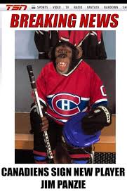 This habs defense has no business being in the playoffs, let alone a game 7. Montreal Canadiens Jokes Habs Memes Nhl Trade Rumors