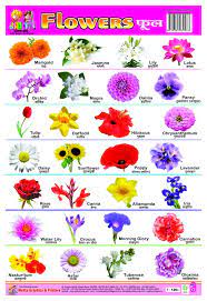 Flowers and names in hindi. All Flowers Name Hindi And English Hindi Charts For Kids Flowers Charts For Kids Flower Names Flowers Name In Hindi A Brief History Of These Vegetables