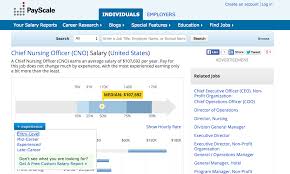 Our Chief Nursing Officer Makes Over 300 000 Yr What About Yours The Voice For Nurses In An Organization Cno S Partic Nurse Office Nursing Process Nurse