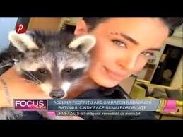 Comment et pourquoi adopter un raton laveur ? Adelina PestriÅ£u Are Un A Raton NÄƒbÄƒdÄƒios Youtube