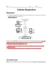 Even something as easy as guessing the beginning letter of long words can assist your child improve his phonics abilities. 9 2 The Process Of Cellular Respiration Worksheet Doc Name Jenna Abusad Class Date 9 2 The Process Of Cellular Respiration Lesson Objectives Course Hero
